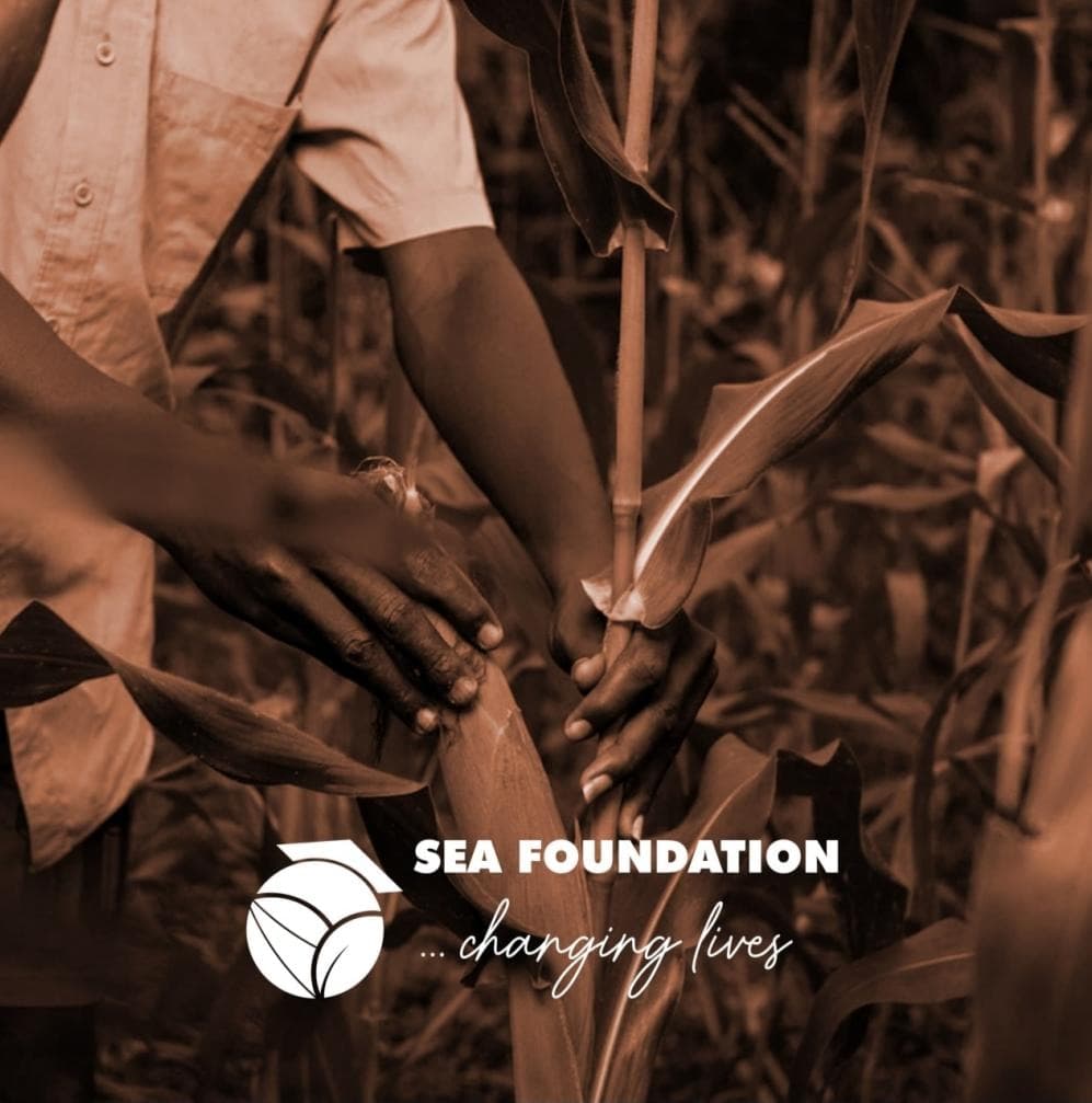 Incubation pour l'insertion socioprofessionnelle des jeunes en Agrobusiness